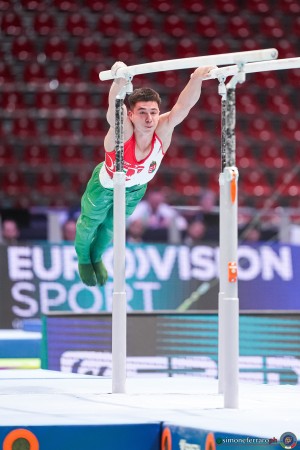 hamza vargity bence hun sfe04230 copia simone ferraro ph